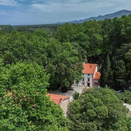 Saint-Génis Domaine Castell De Bles Bed & Breakfast エクステリア 写真