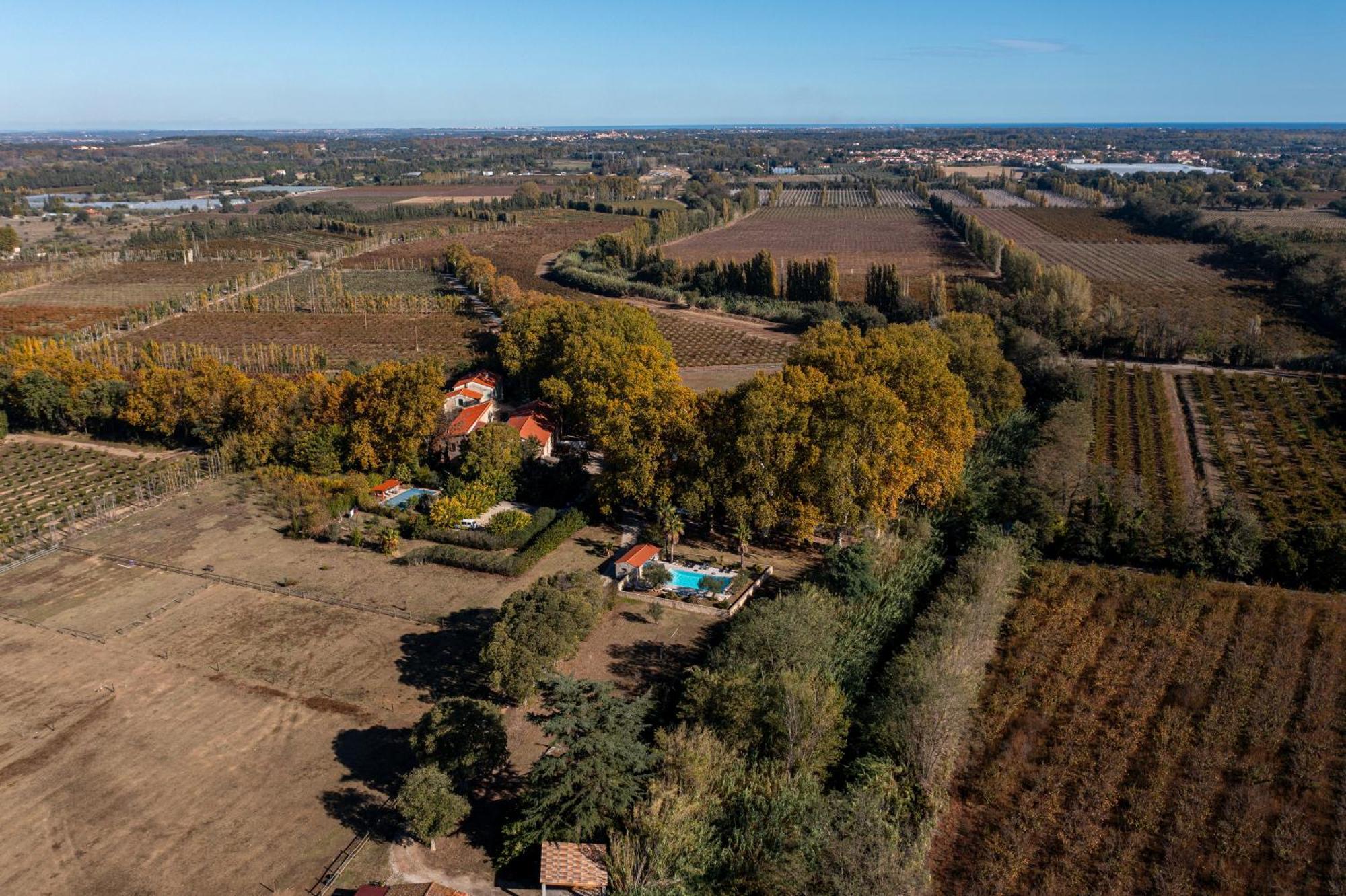 Saint-Génis Domaine Castell De Bles Bed & Breakfast エクステリア 写真