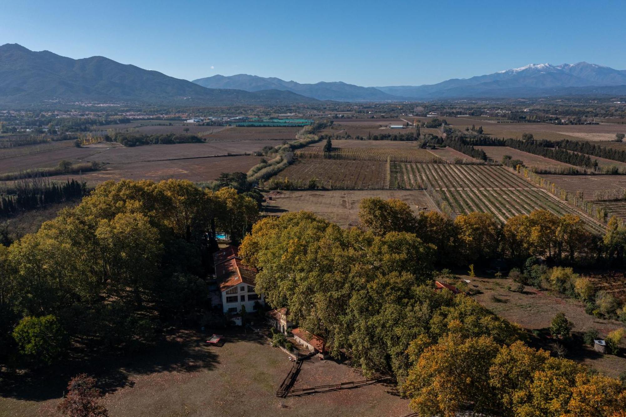 Saint-Génis Domaine Castell De Bles Bed & Breakfast エクステリア 写真
