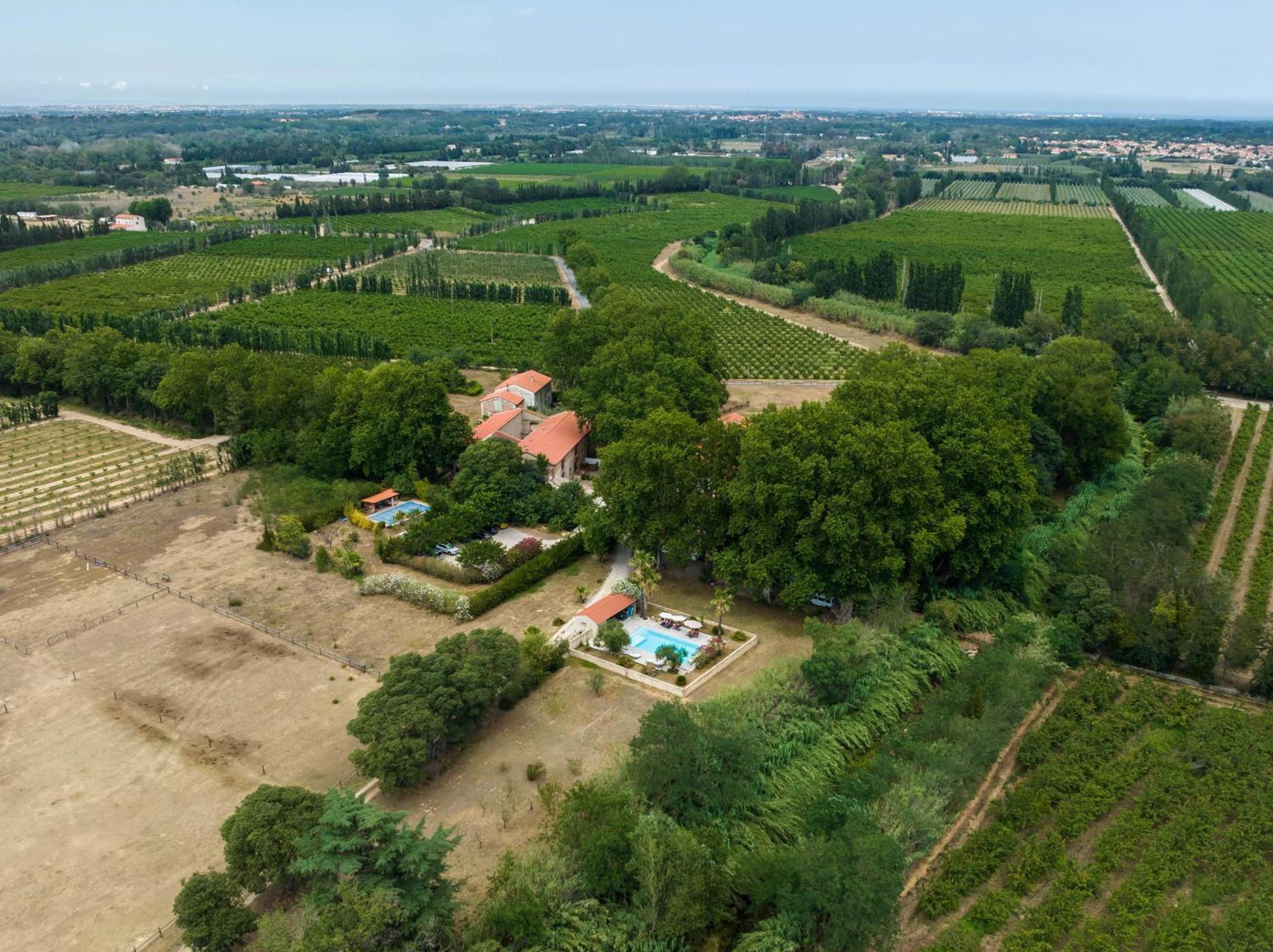 Saint-Génis Domaine Castell De Bles Bed & Breakfast エクステリア 写真