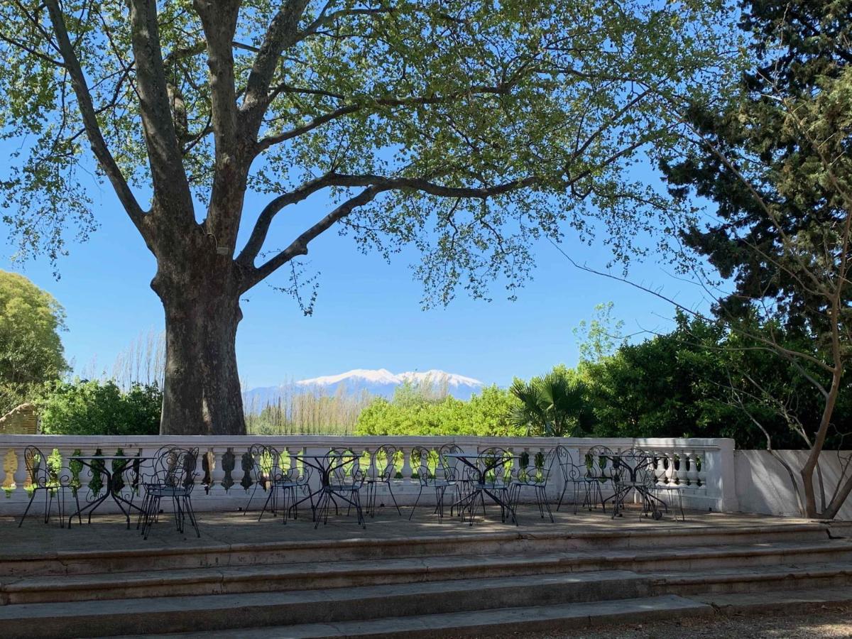 Saint-Génis Domaine Castell De Bles Bed & Breakfast エクステリア 写真