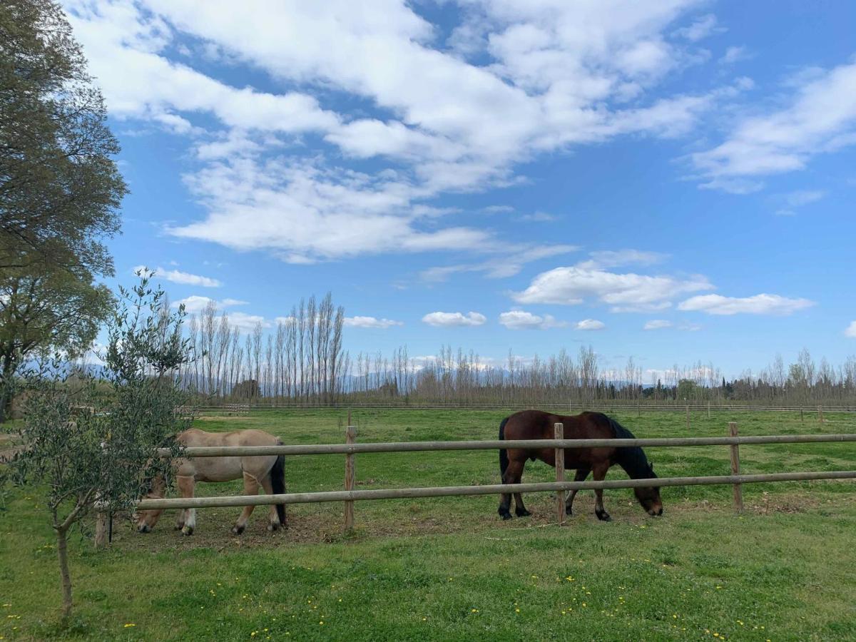 Saint-Génis Domaine Castell De Bles Bed & Breakfast エクステリア 写真