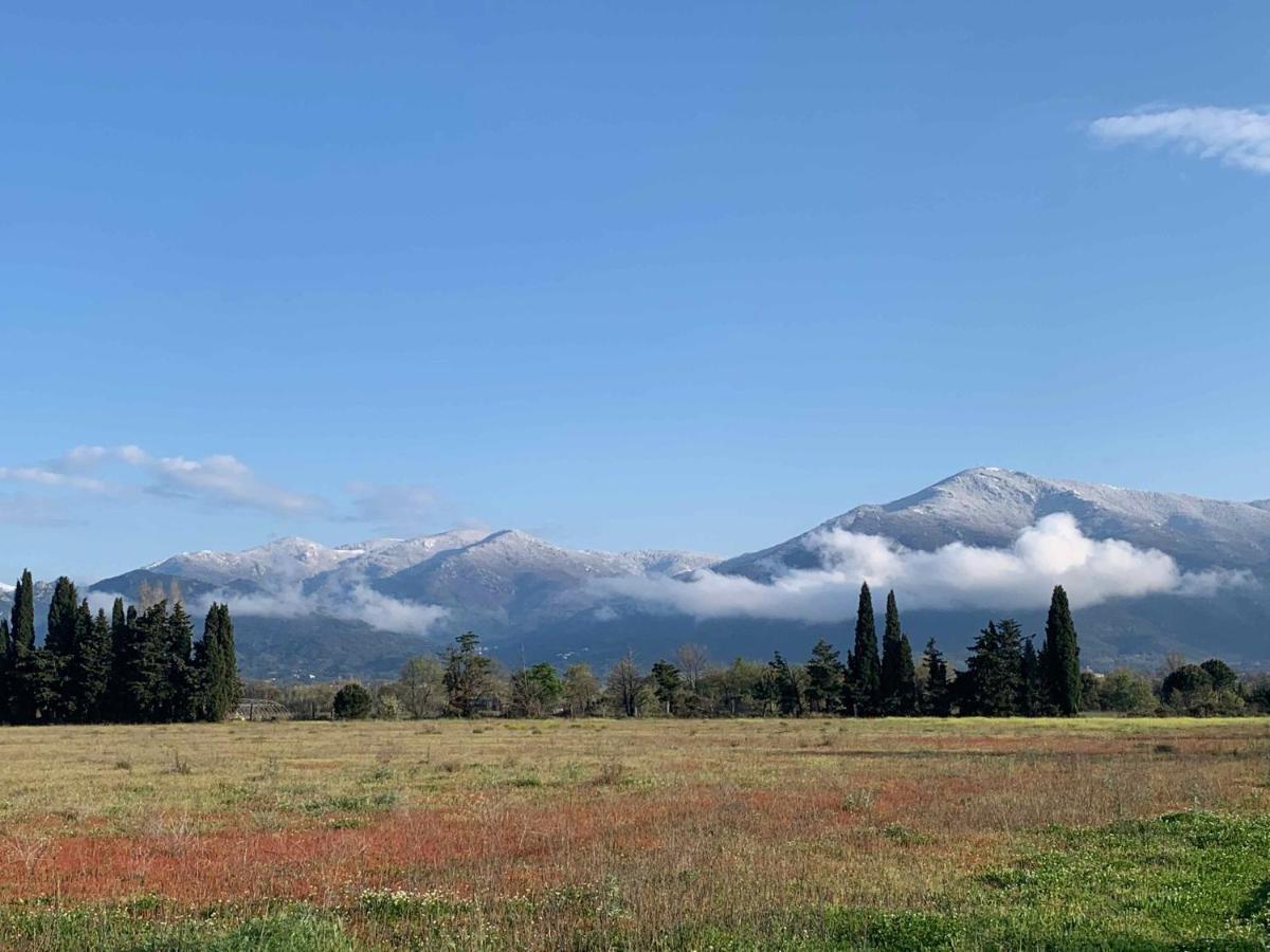 Saint-Génis Domaine Castell De Bles Bed & Breakfast エクステリア 写真